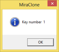 module ident key 1